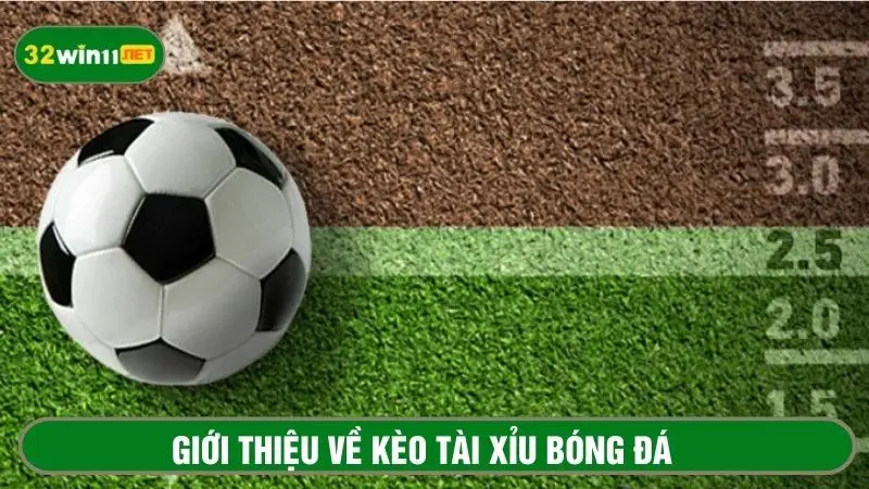 Khái quát thông tin về kèo tài xỉu cho người mới 