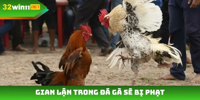 Gian lận trong đá gà sẽ bị phạt