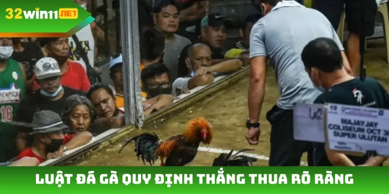 Luật đá gà quy định thắng thua rõ ràng